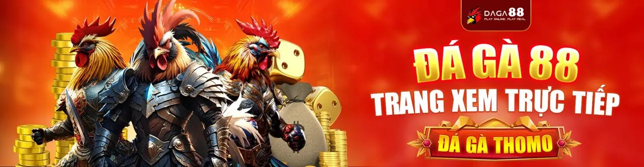 Hình ảnh chính Câu hỏi thường gặp 33win1 Casino